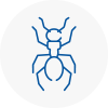Ant Removals In Emerson Park