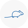 Mice Exterminators In Emerson Park