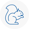 Emerson Park Rodent Removals