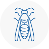 Emerson Park Wasp Nest Removal